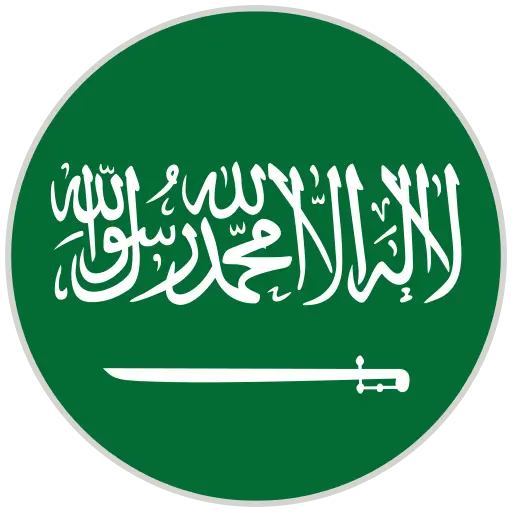 Mohamed Alsharkawy